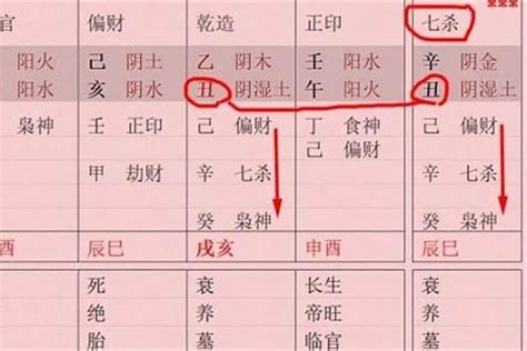 偏印格身強|命理學：詳解偏印格（最全）